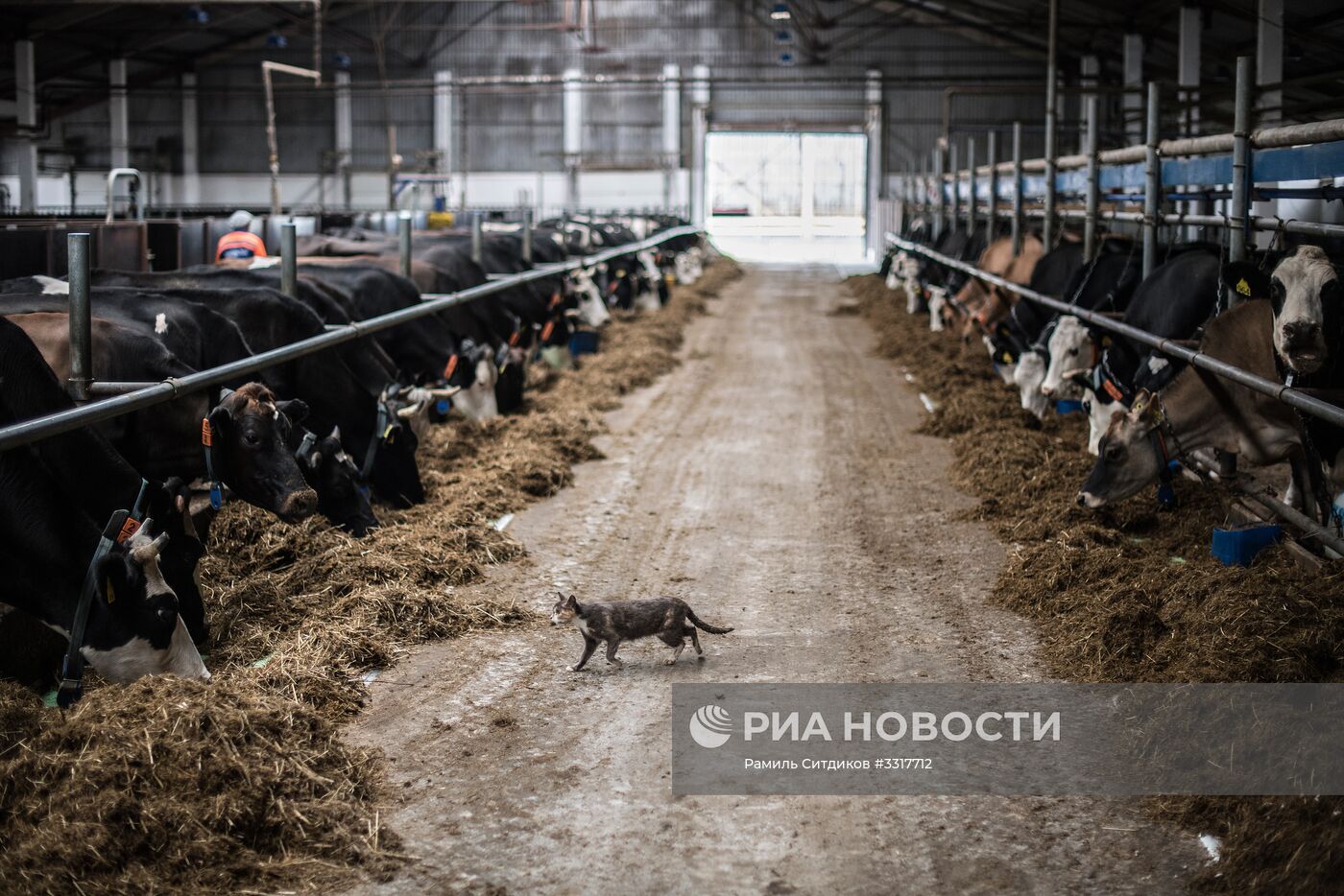 Агрохолдинг "АгриВолга" в Ярославской области