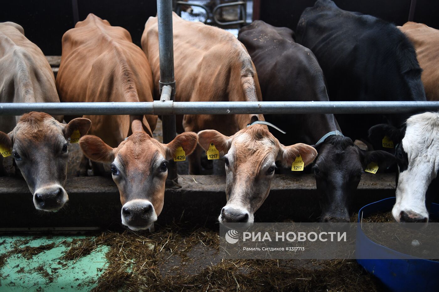 Агрохолдинг "АгриВолга" в Ярославской области