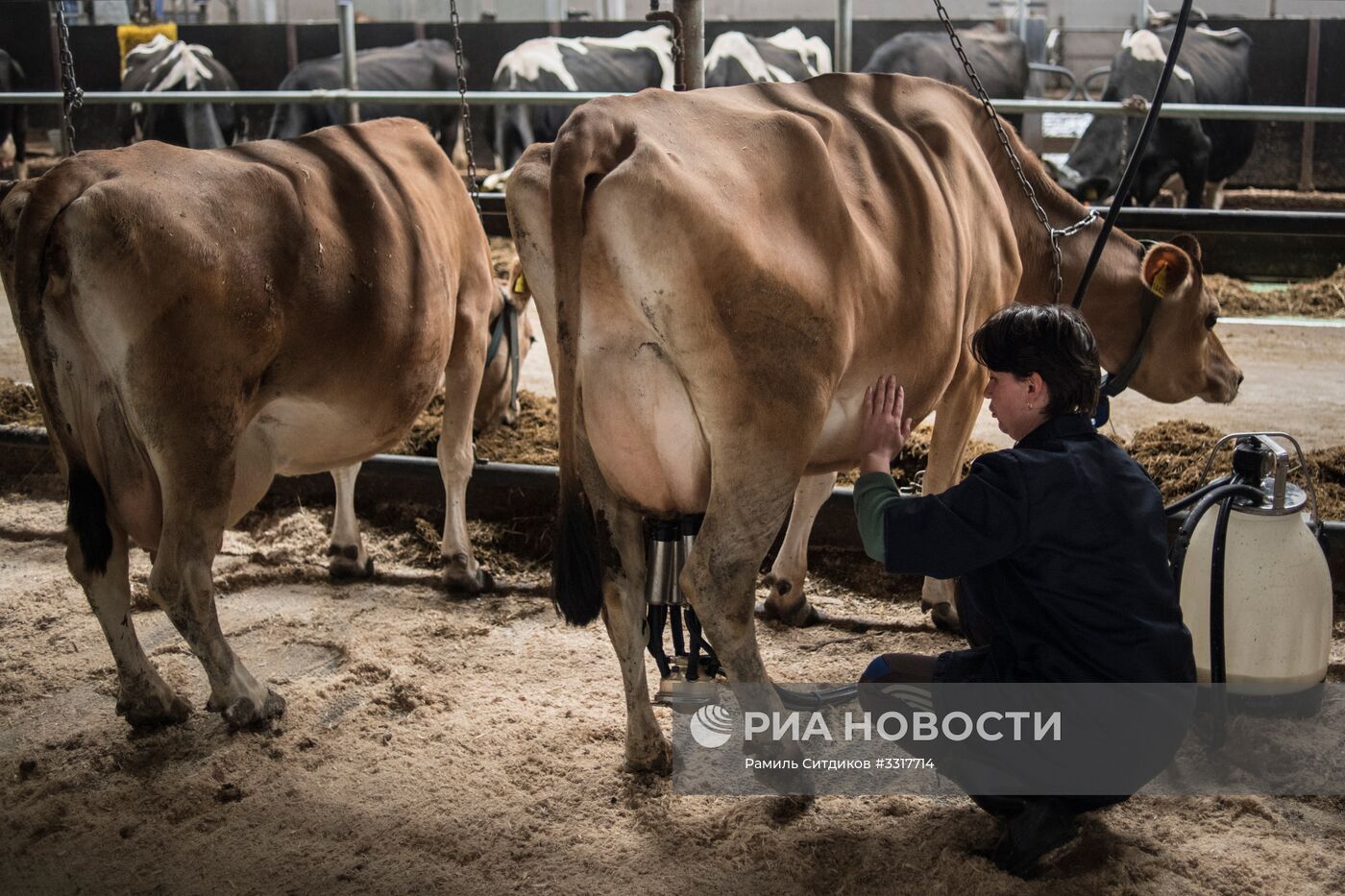 Агрохолдинг "АгриВолга" в Ярославской области