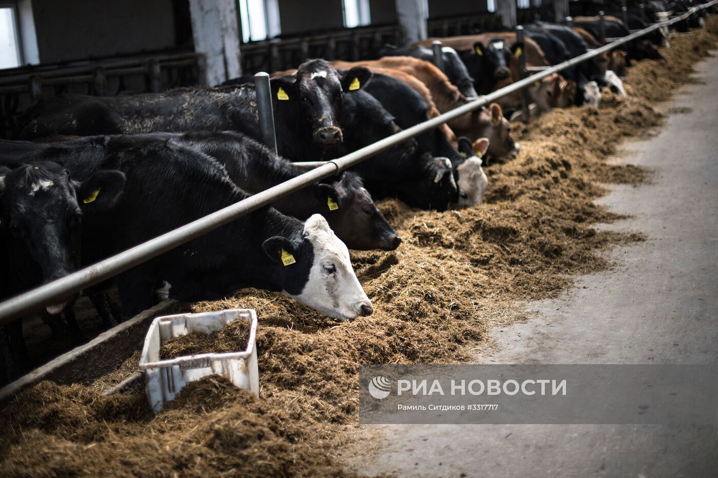 Агрохолдинг "АгриВолга" в Ярославской области