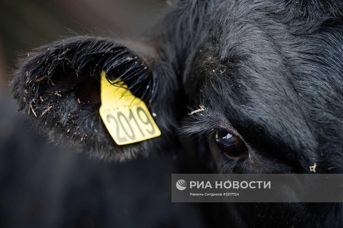 Агрохолдинг "АгриВолга" в Ярославской области