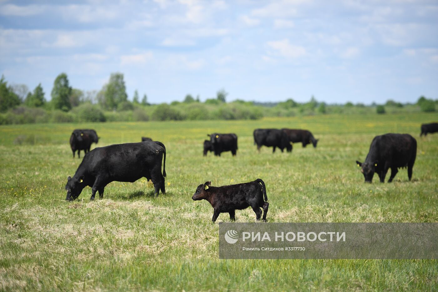Агрохолдинг "АгриВолга" в Ярославской области