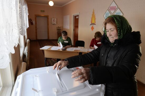 Досрочное голосование на выборах президента РФ в Тюменской области