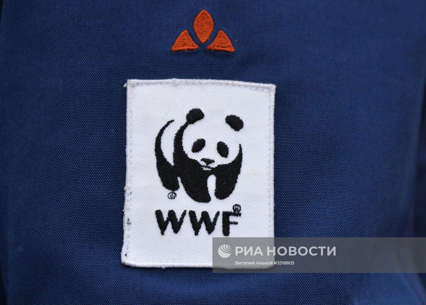 Тестирование беспилотников для выявления незаконной вырубки леса в Приморье