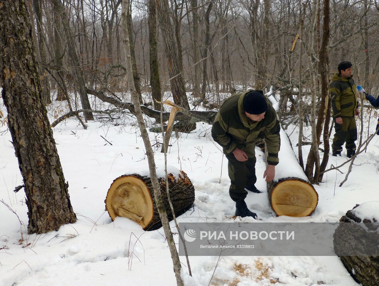 Тестирование беспилотников для выявления незаконной вырубки леса в Приморье