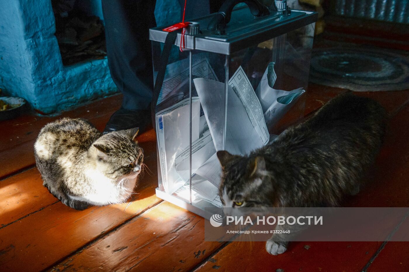 Выборы президента РФ в регионах России