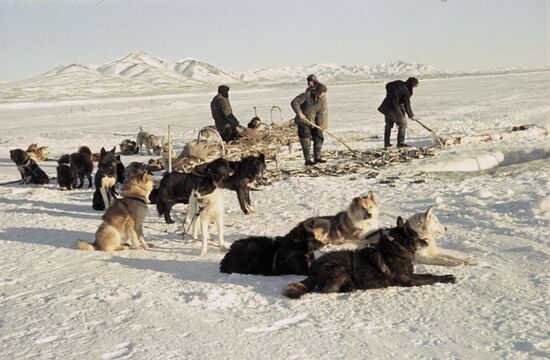Камчатсая область