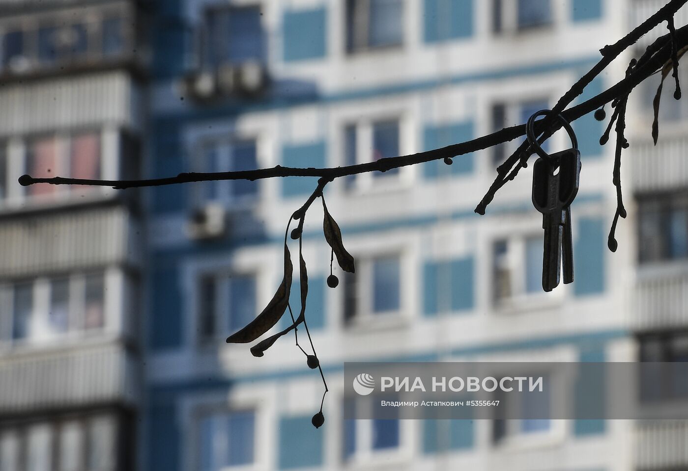 Повседневная жизнь