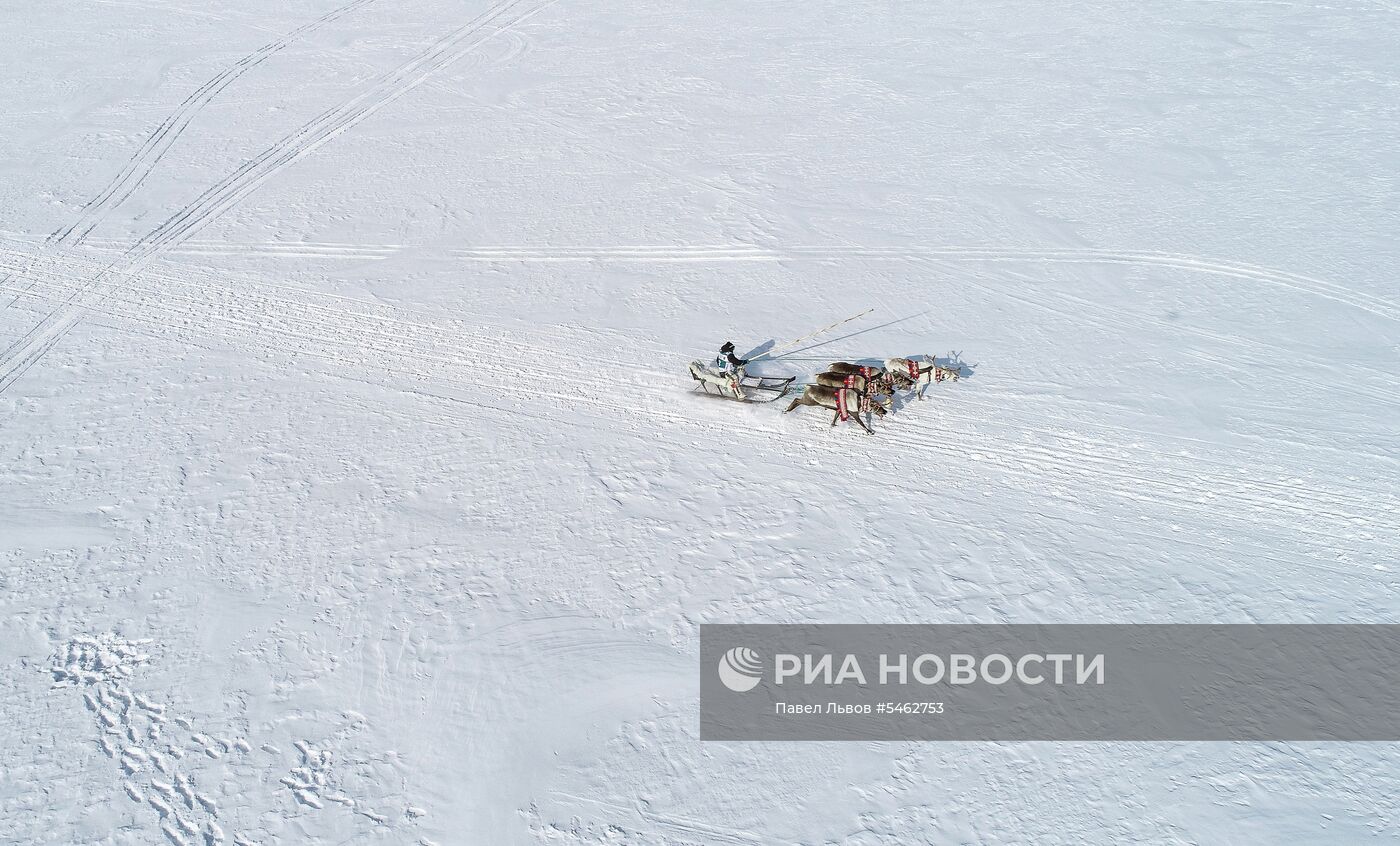 Праздник Севера в Мурманской области