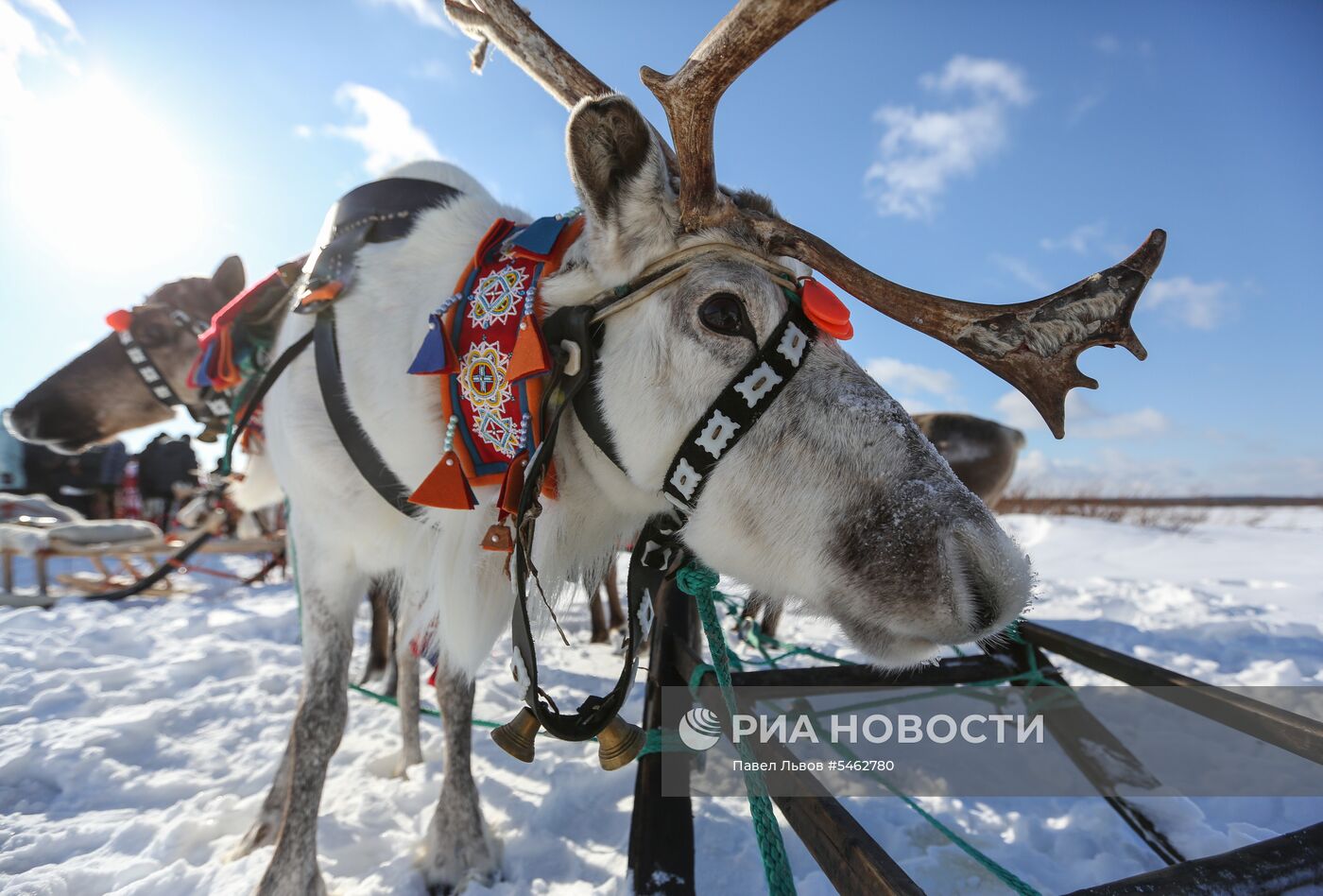 Праздник Севера в Мурманской области