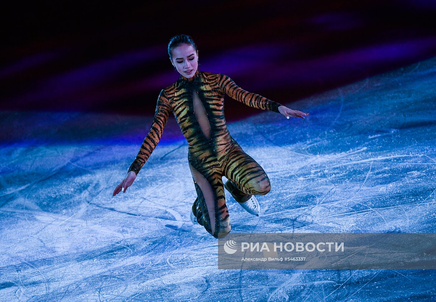 Фигурное катание. Чемпионат мира. Показательные выступления