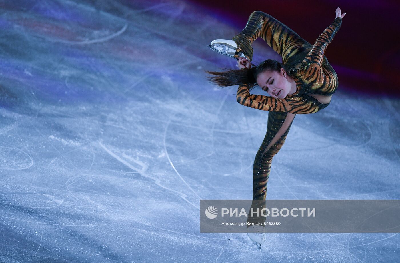 Фигурное катание. Чемпионат мира. Показательные выступления