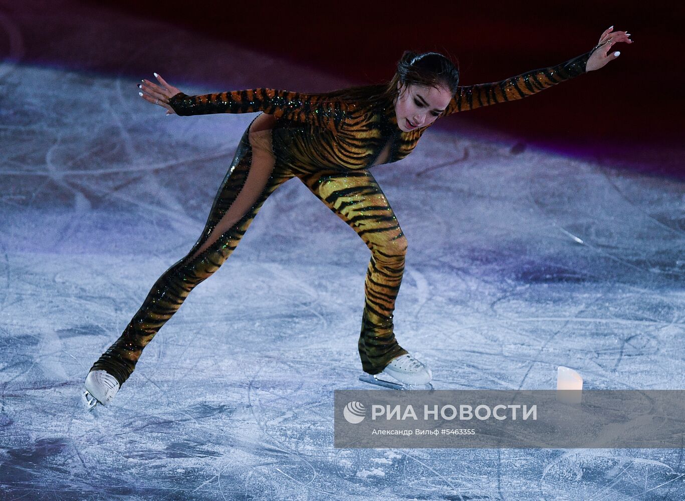 Фигурное катание. Чемпионат мира. Показательные выступления