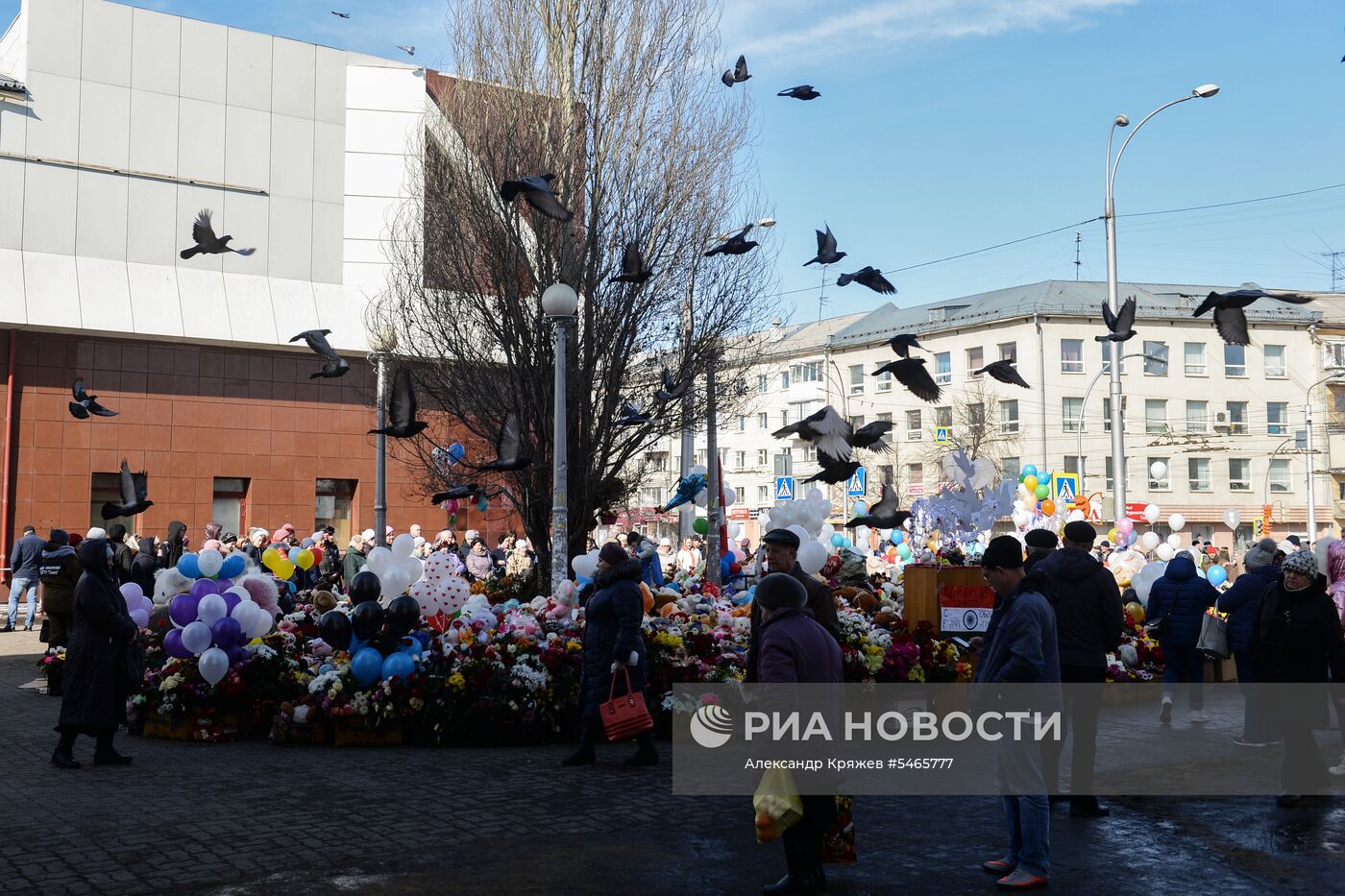 Цветы у ТЦ «Зимняя вишня» в Кемерово