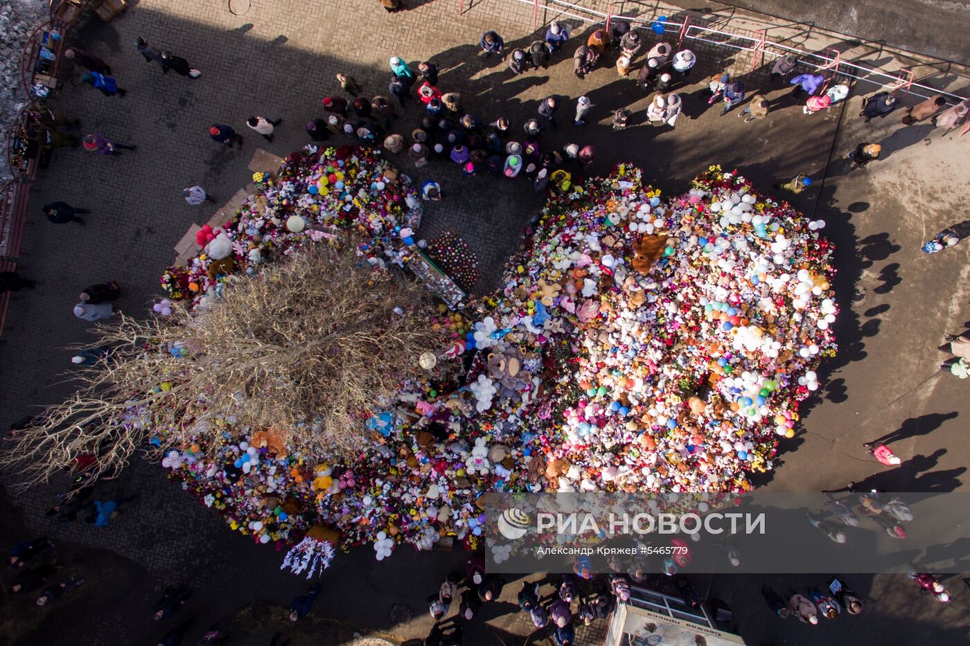 Цветы у ТЦ «Зимняя вишня» в Кемерово