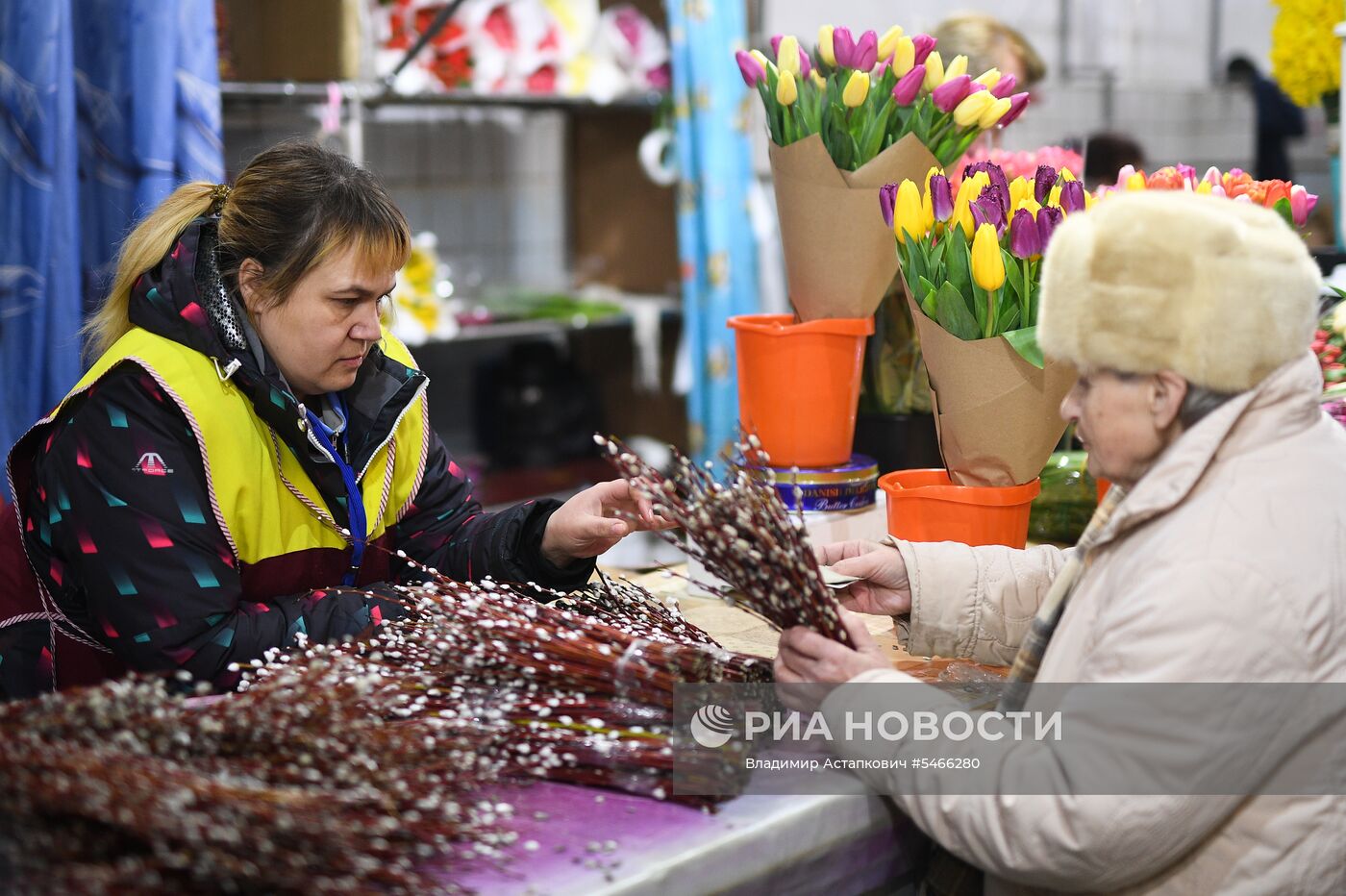 Продажа вербы в городах России  