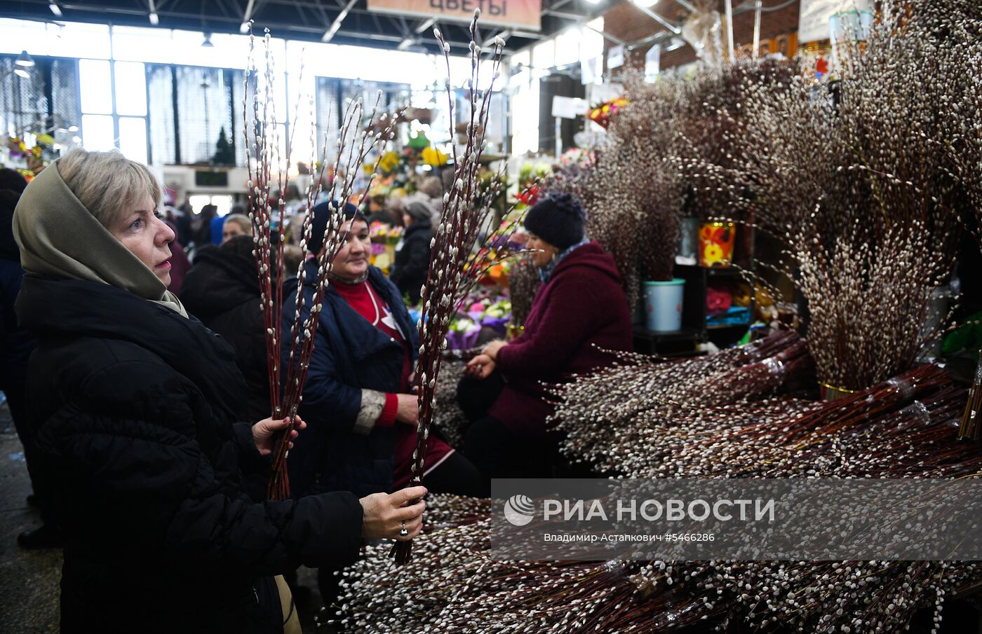 Продажа вербы в городах России  