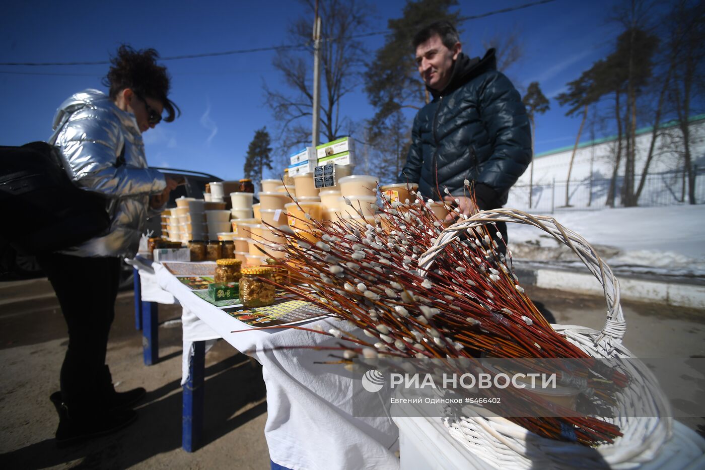 Продажа вербы в городах России  
