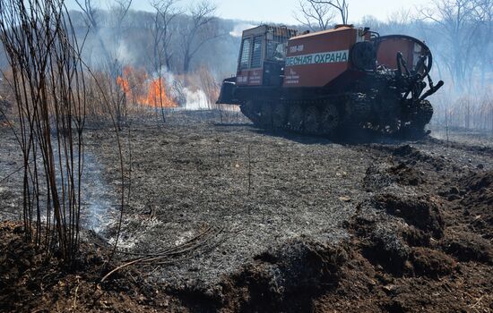 Учения по тушению лесных пожаров в Приморском крае  