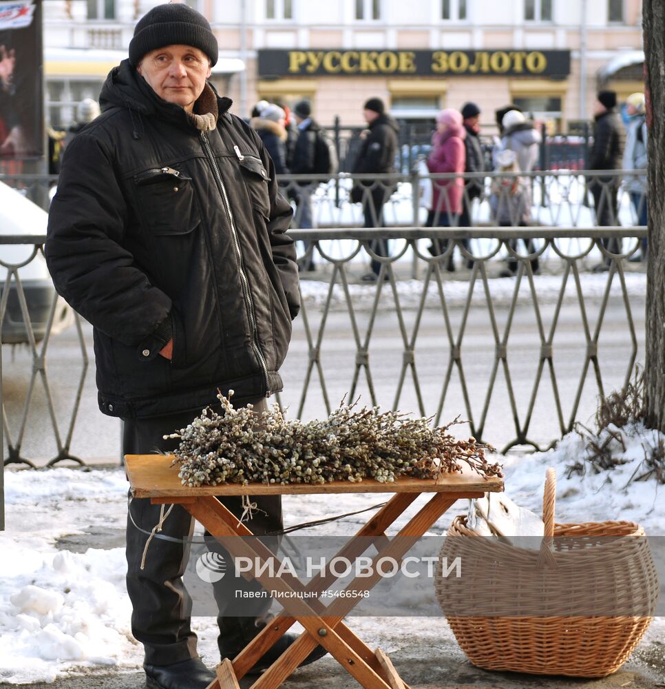 Продажа вербы в городах России