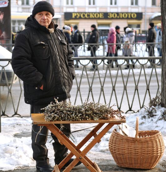 Продажа вербы в городах России