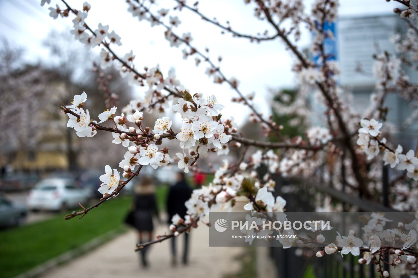 Весна в Крыму