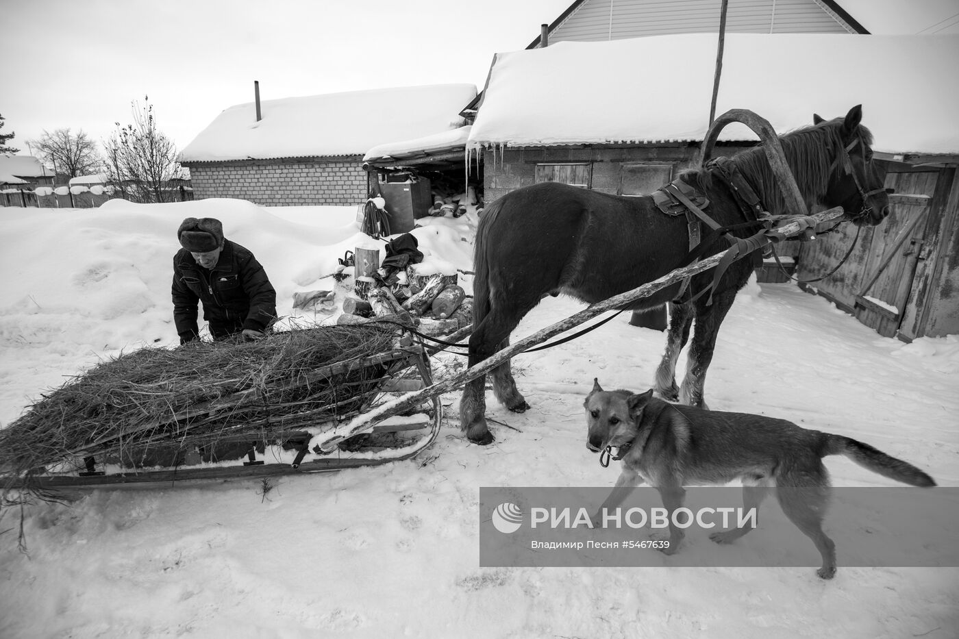 Фотокорреспондент МИА "Россия сегодня" В. Песня получил особую отметку жюри на фотоконкурсе NPPA