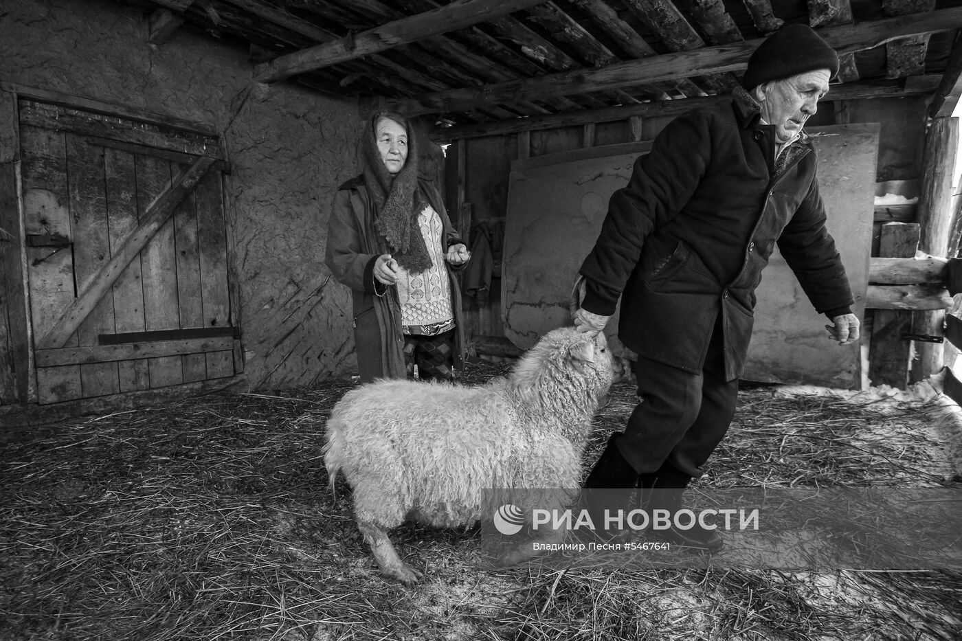 Фотокорреспондент МИА "Россия сегодня" В. Песня получил особую отметку жюри на фотоконкурсе NPPA