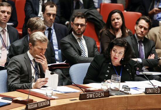 Заседание Совета безопасности ООН