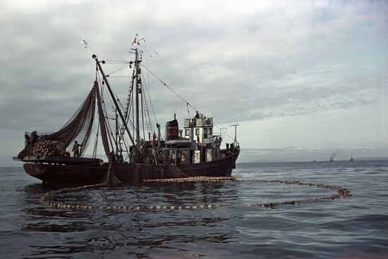 Рыболовный промысел у берегов Сахалина