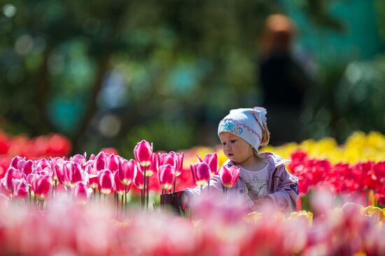 "Парад тюльпанов" в Никитском ботаническом саду
