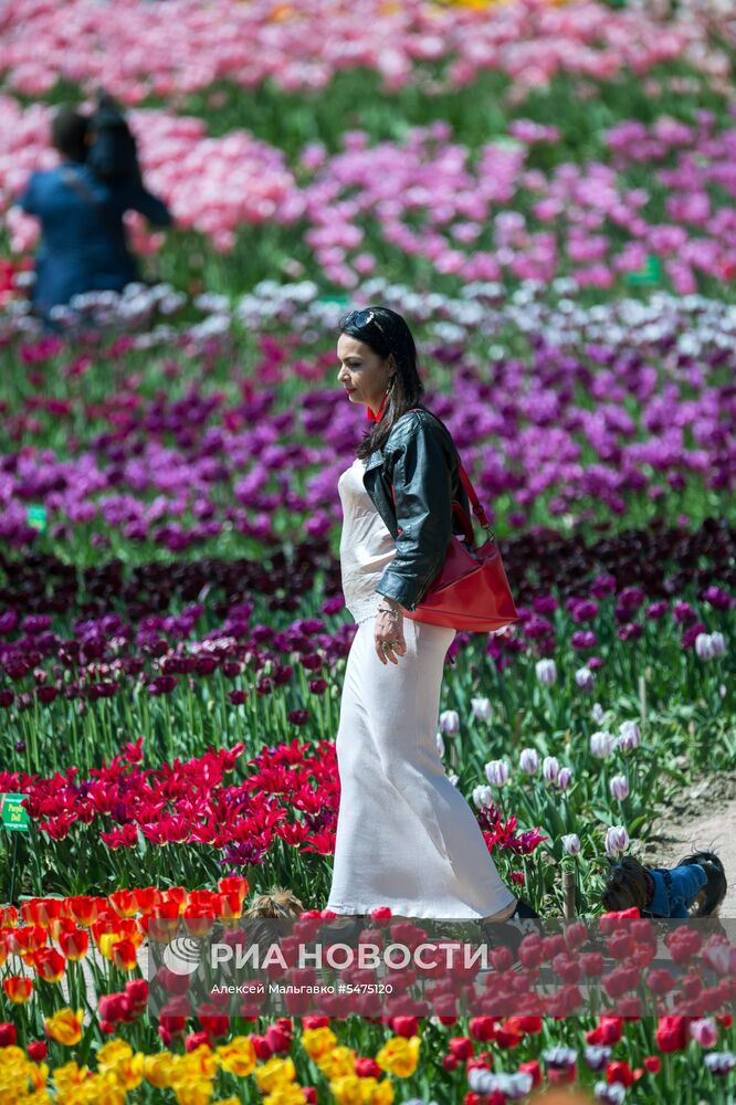 "Парад тюльпанов" в Никитском ботаническом саду