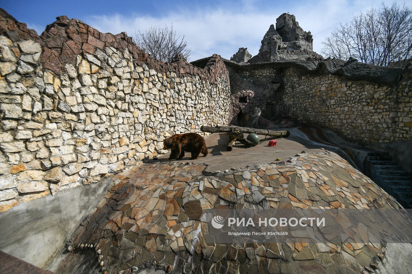 Медведи проснулись после зимней спячки в Московском зоопарке