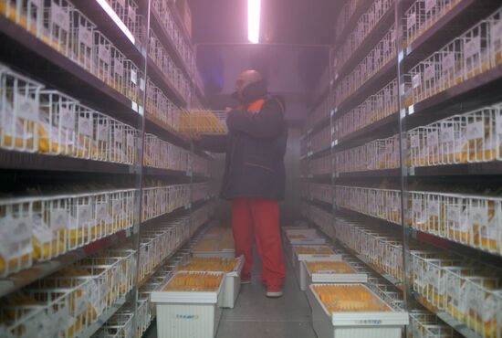 Центр переливания крови ФМБА России