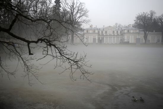 Реставрационные работы в дворцово-парковом ансамбле "Ораниенбаум"