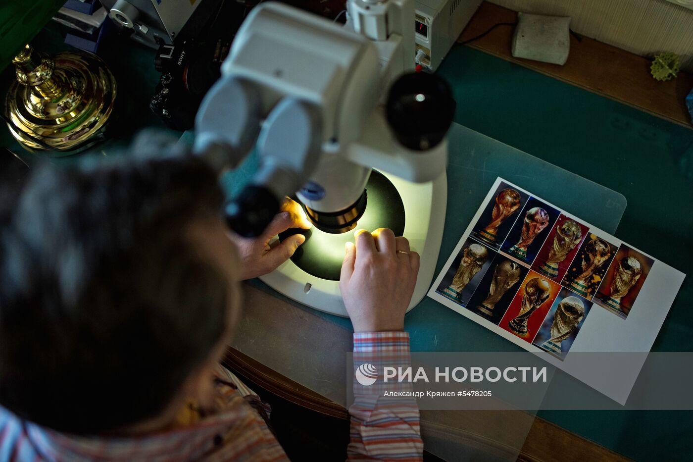 Новосибирский мастер изготовил полуторамиллиметровую фигурку талисмана ЧМ-2018