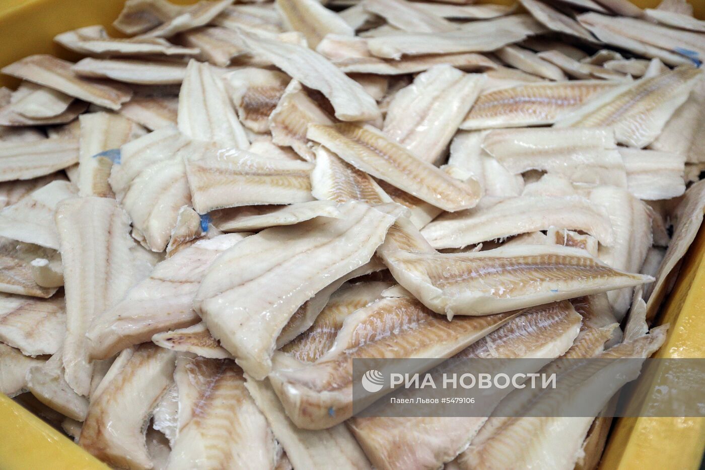 Завод по переработке рыбы «Полярное море» в Мурманской области