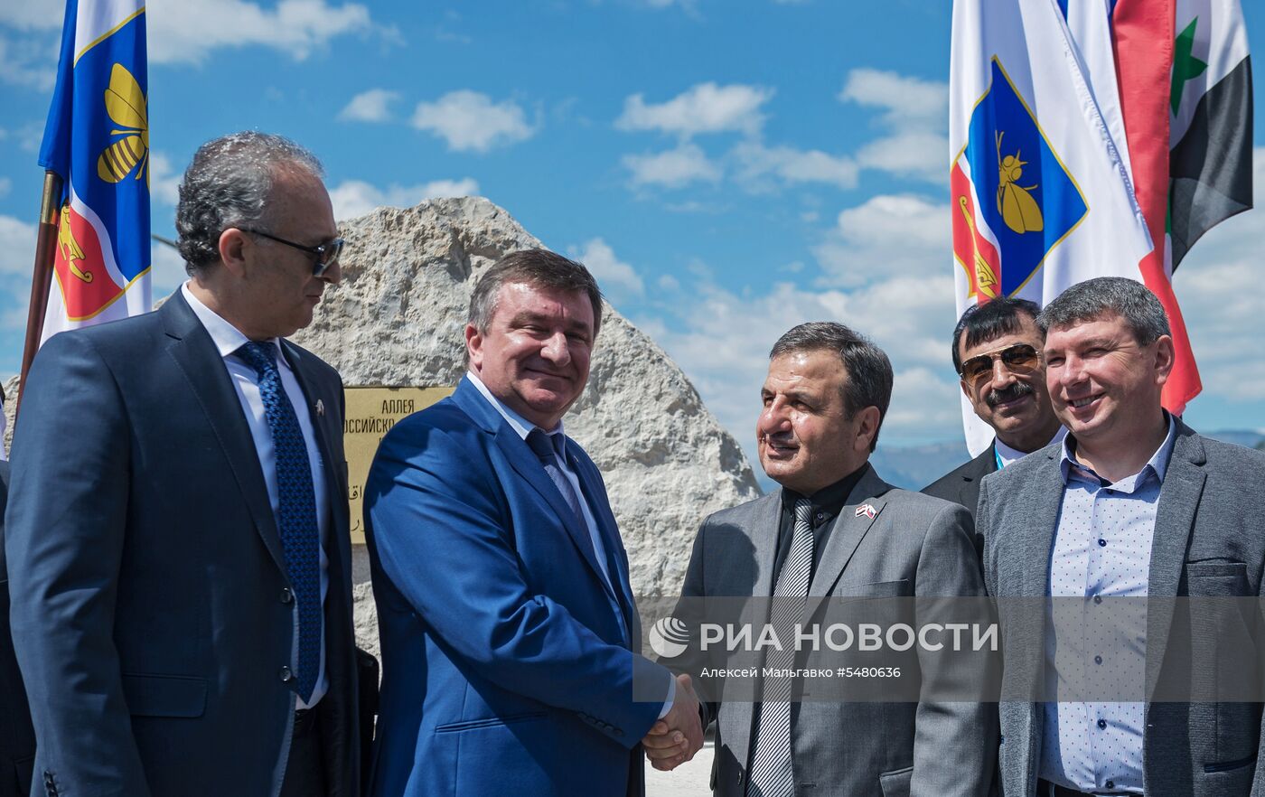 Аллею оливковых деревьев российско-сирийской дружбы высадили в Ялте 