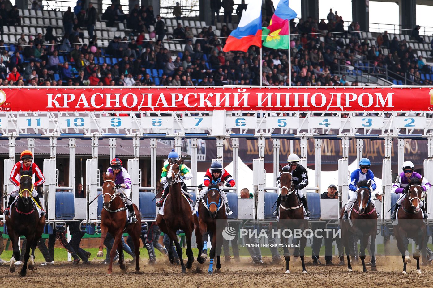 Открытие скакового сезона в Краснодаре