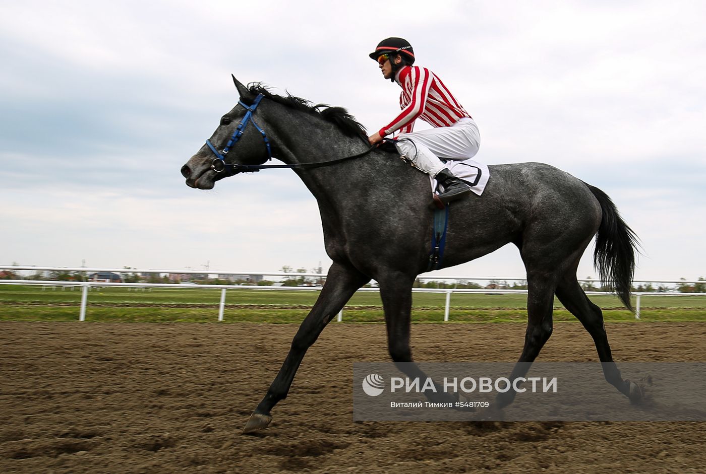 Открытие скакового сезона в Краснодаре