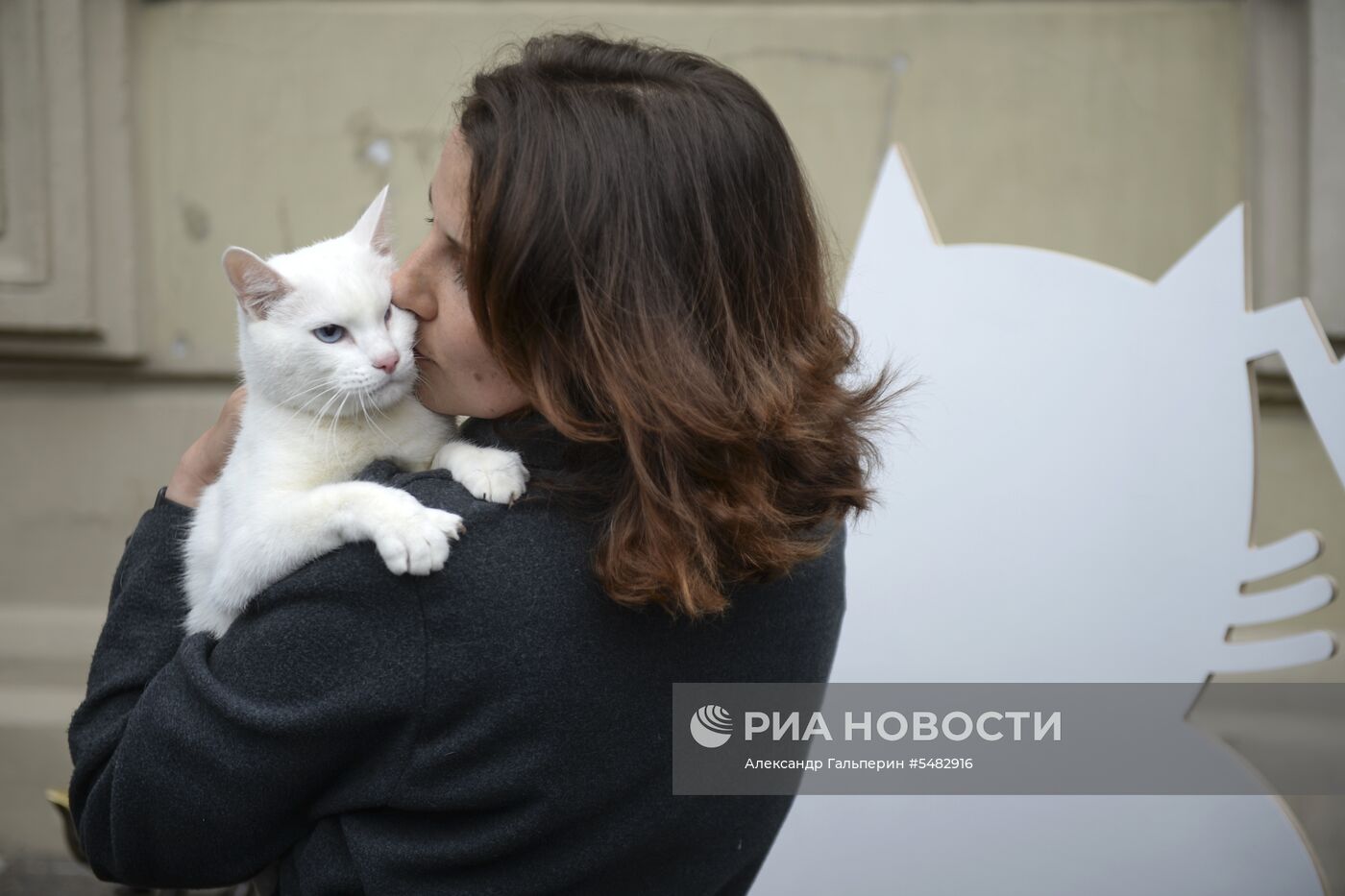 Художественный марафон "Моя любовь - футбол и кот!" в Санкт-Петербурге