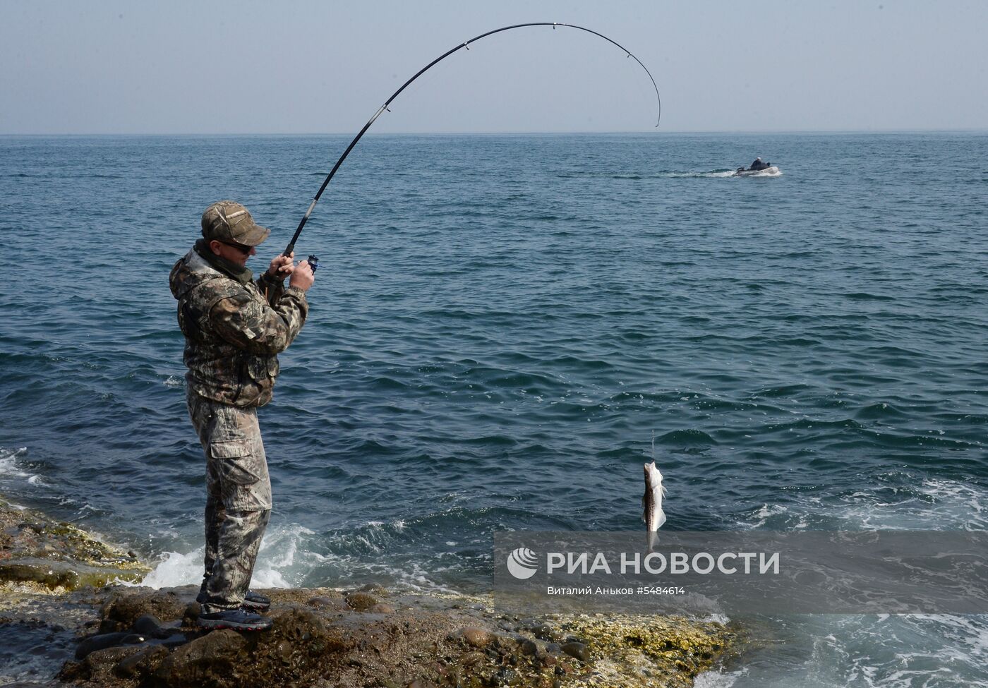 Лов минтая в Приморье