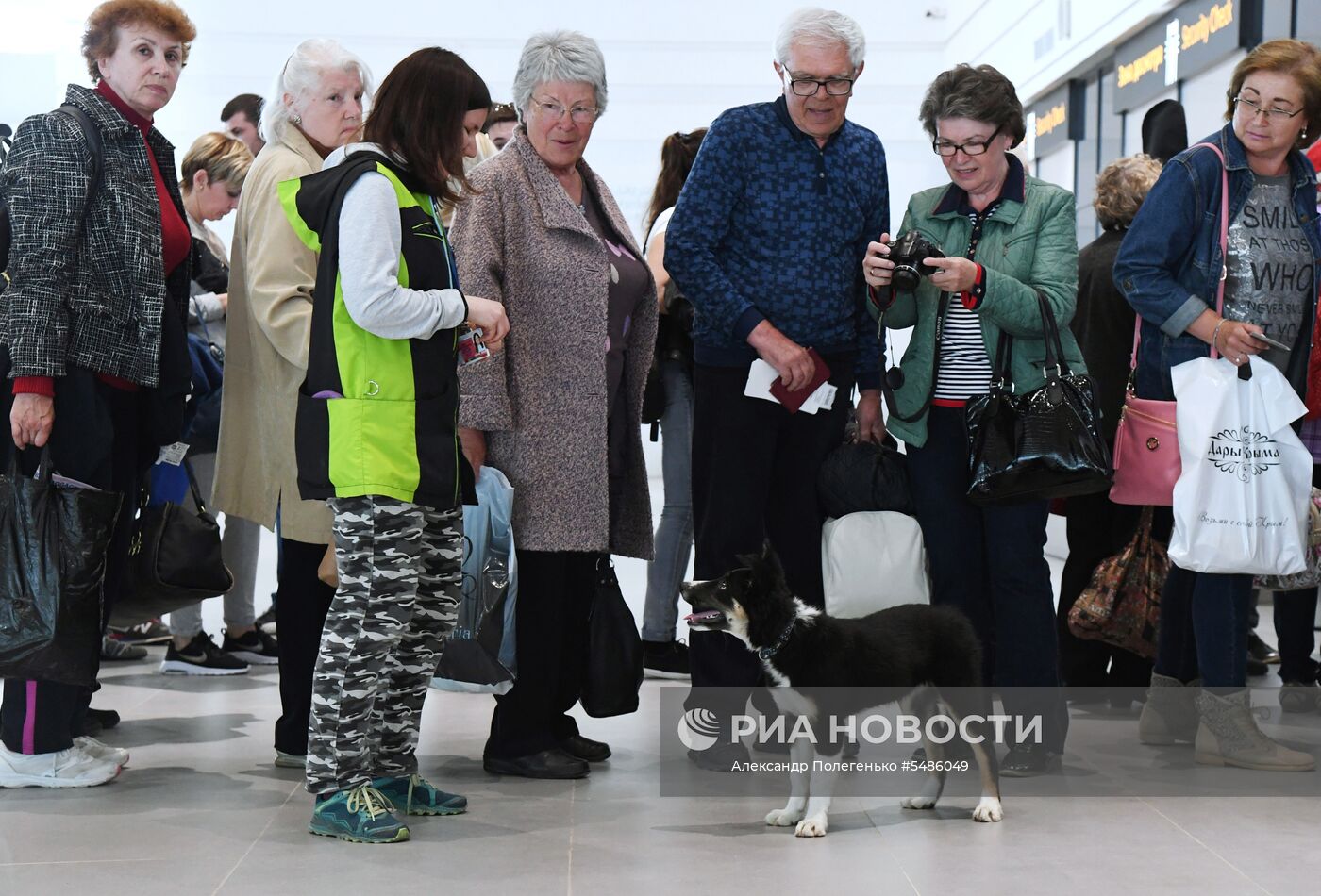 Щенок Алиса стал талисманом нового терминала аэропорта Симферополя