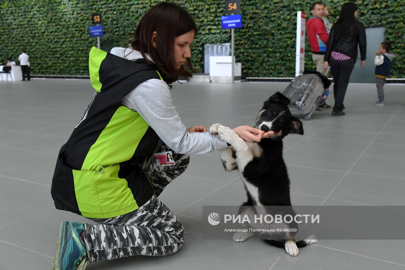 Щенок Алиса стал талисманом нового терминала аэропорта Симферополя