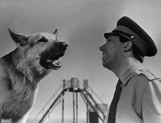 Кадр из фильма "Ко мне, Мухтар!"