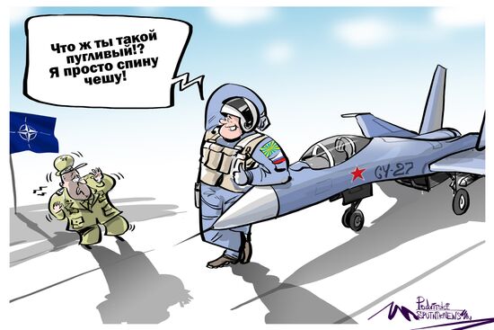 Российские истребители Су-27 устрашают НАТО