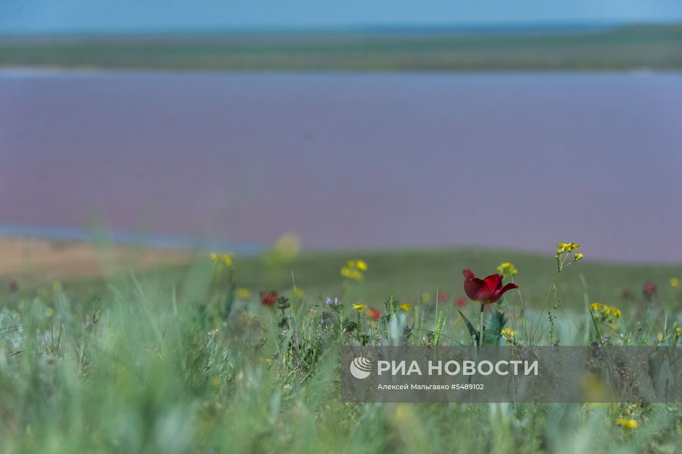 Отдых в Крыму