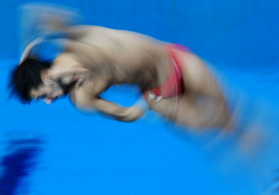 Прыжки в воду. Мировая серия FINA.  Второй день