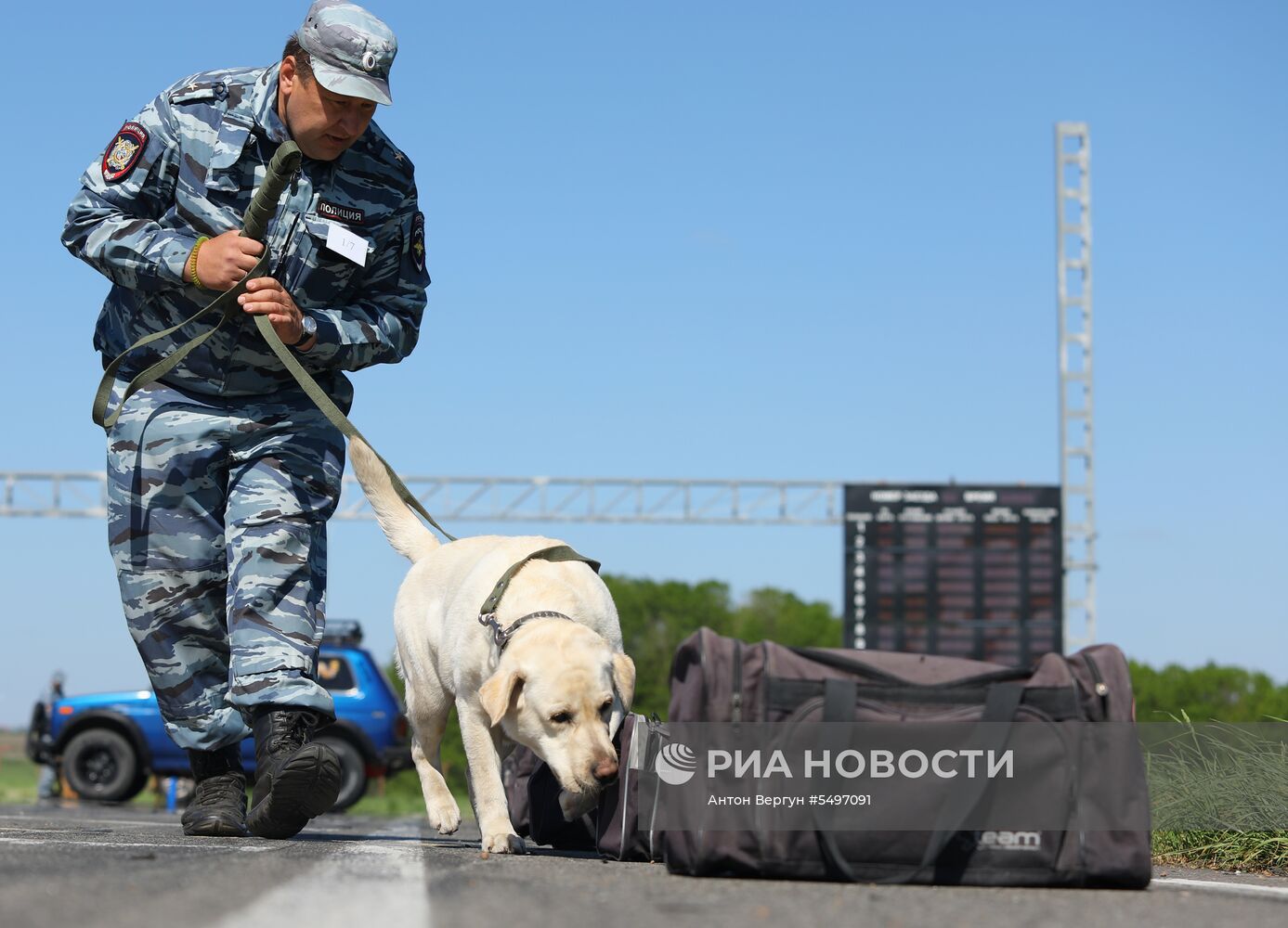 Соревнования кинологов в Белгородской области