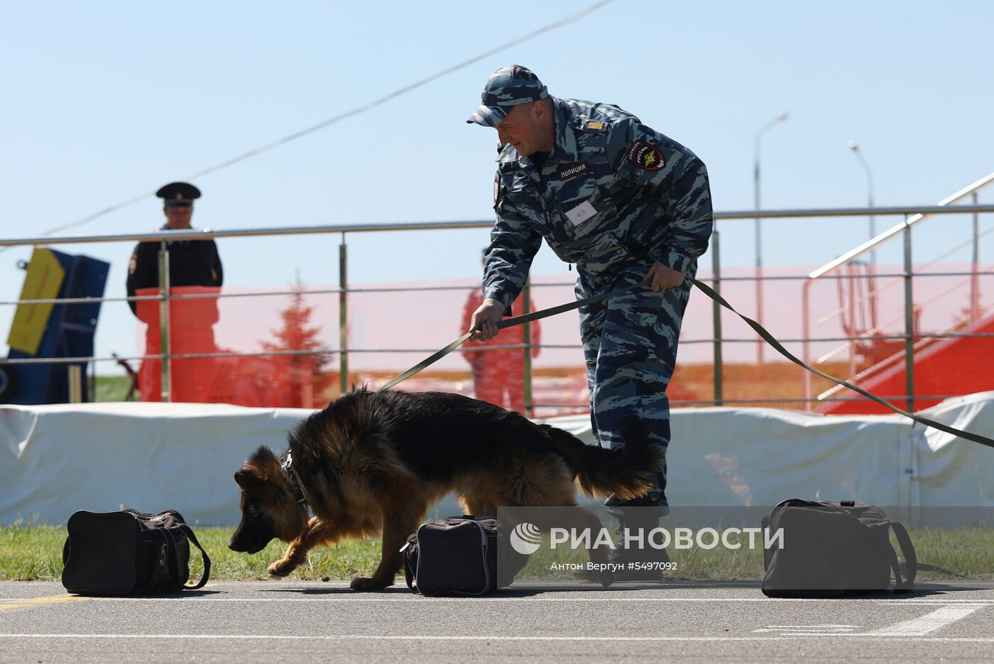 Соревнования кинологов в Белгородской области